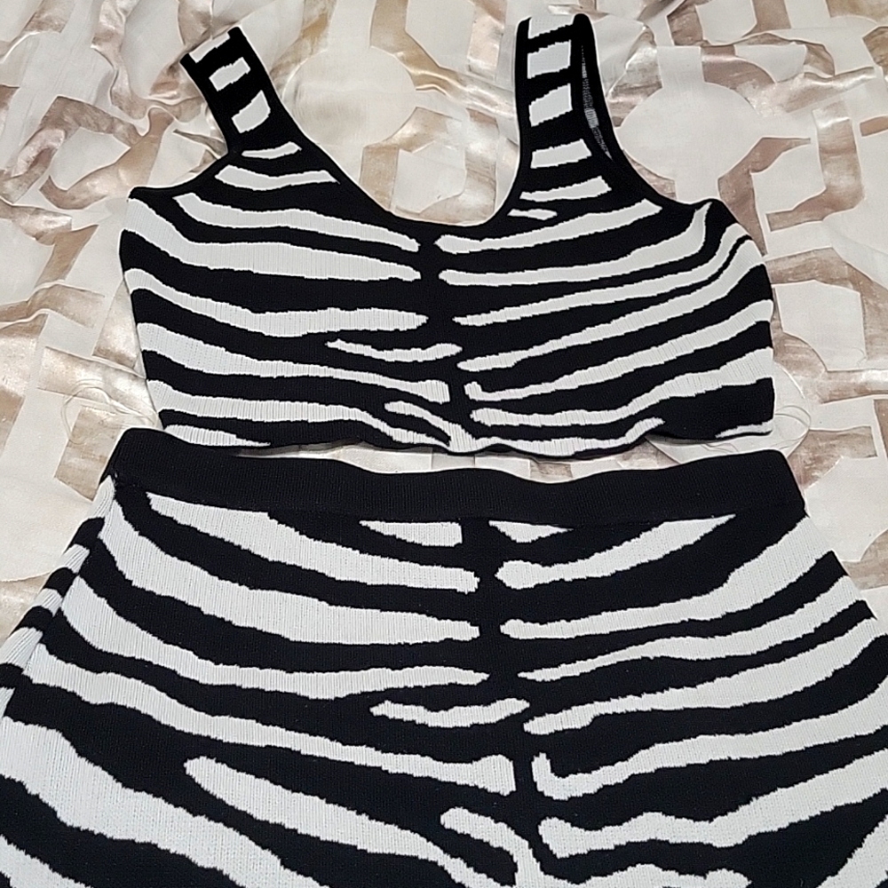 2 piece Zebra skirt set